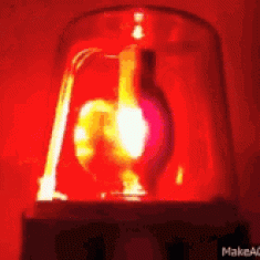 הודעת לשכת עורכי הדין