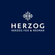 herzoglawyers