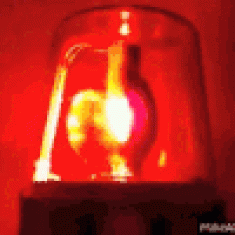 לשכת עורכי הדין מדווחת